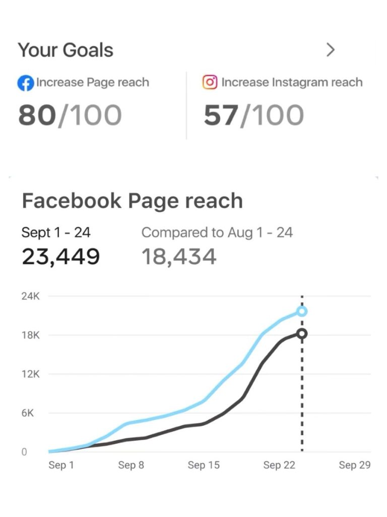 Marketing na društvenim mrežama: Primjer analitike